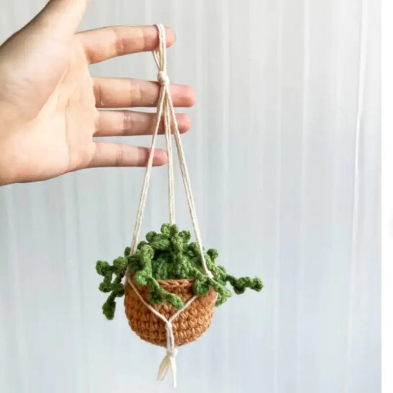 Decourist Hanging Crochet Succulents